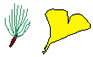 �C���[�W