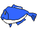 �C���[�W